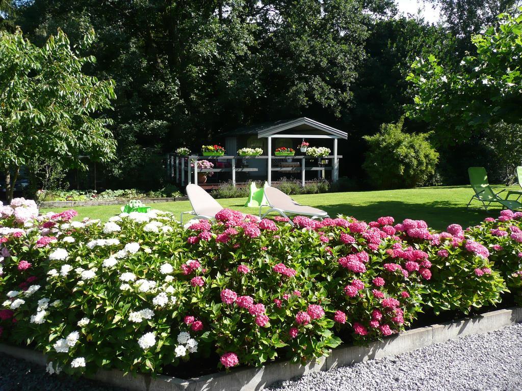 Ferienwohnung "Sweet Home" Eupen Oda fotoğraf